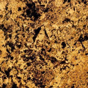 Flexstone Canyon Warm Light Veneer