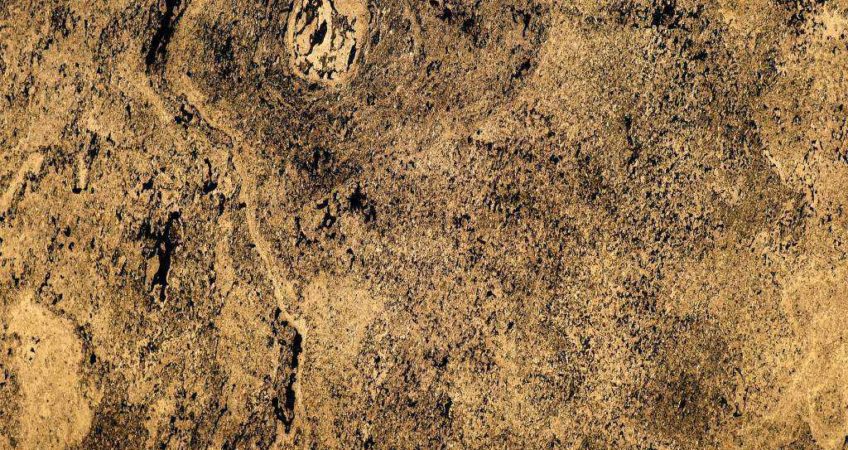 Nero Translucent Veneer  