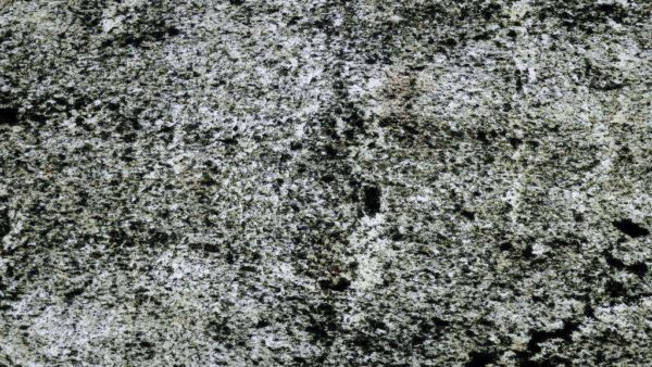 Flexstone Moon Cool Light Veneer