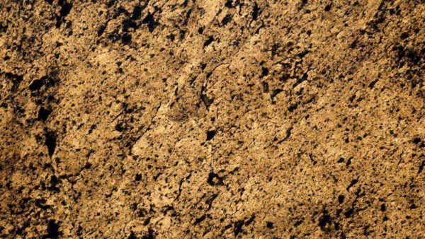 Flexstone Moon Shimmer Warm Light Veneer